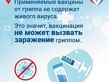 ️Вакцинопрофилактика гриппа — первоочередное правило сохранения здоровья в осенне-зимний период